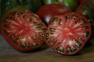 Cultivo de tomate ecológico